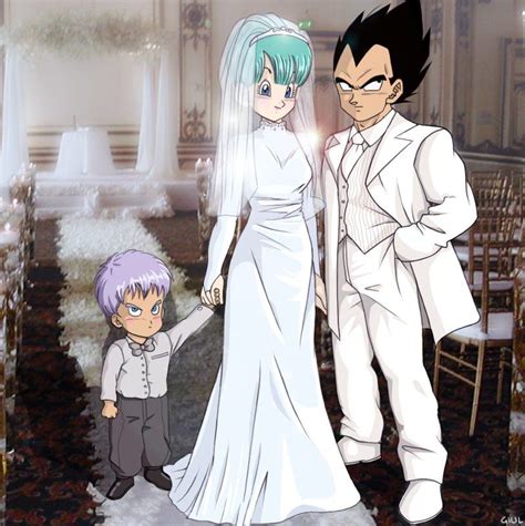 bulma vegeta|why did bulma marry vegeta.